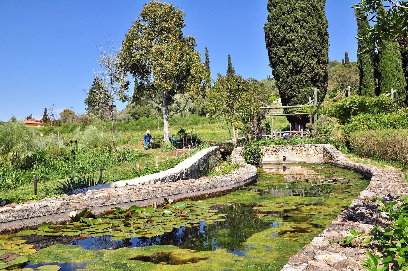 Côte d'Azur Jardin du MIP