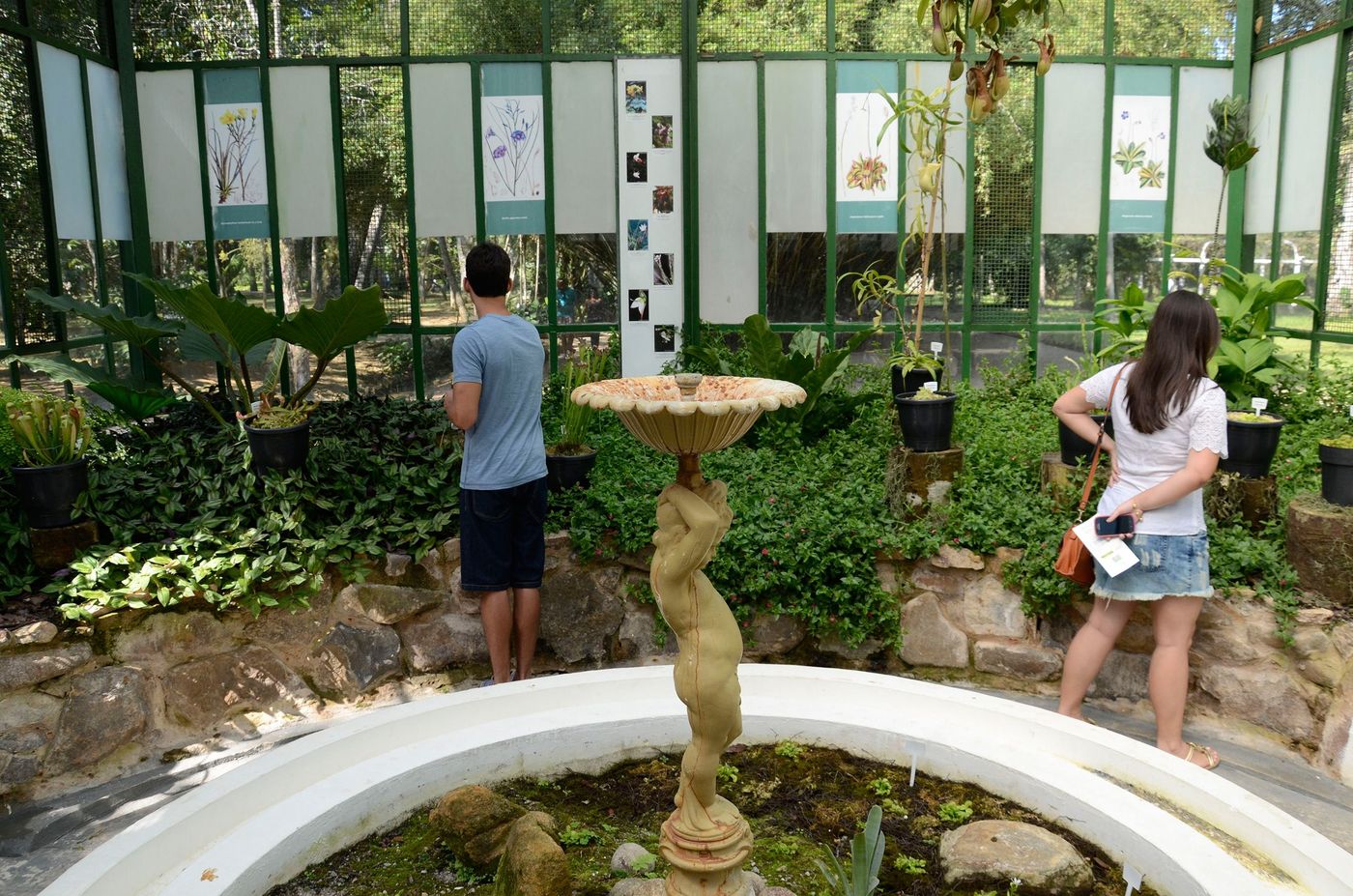 Brésil Rio de Janeiro Jardin botanique