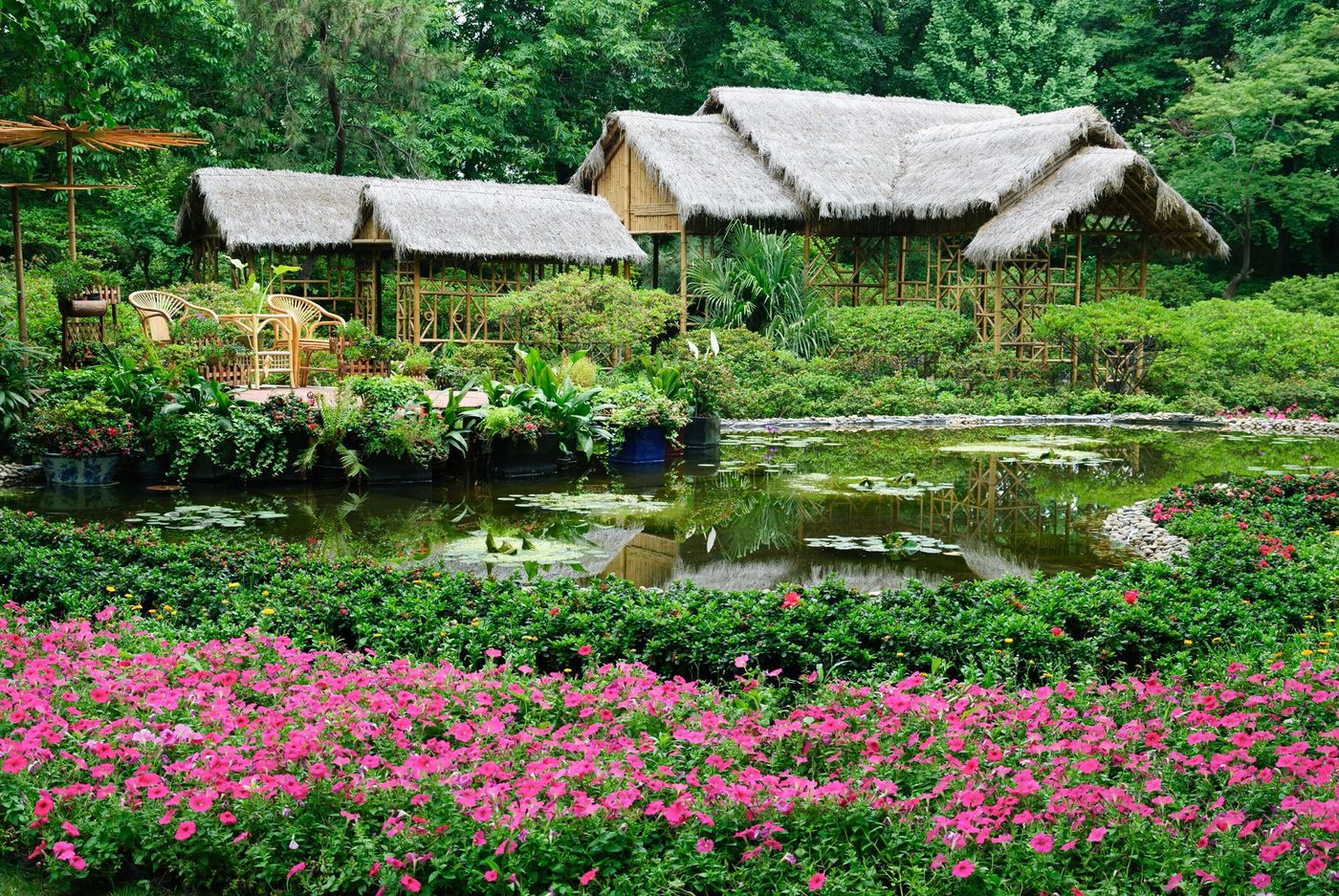 Jardins Suzhou Chine