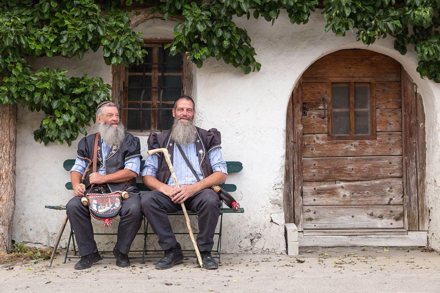 Suisse Jaun Barbus de la Gruyère