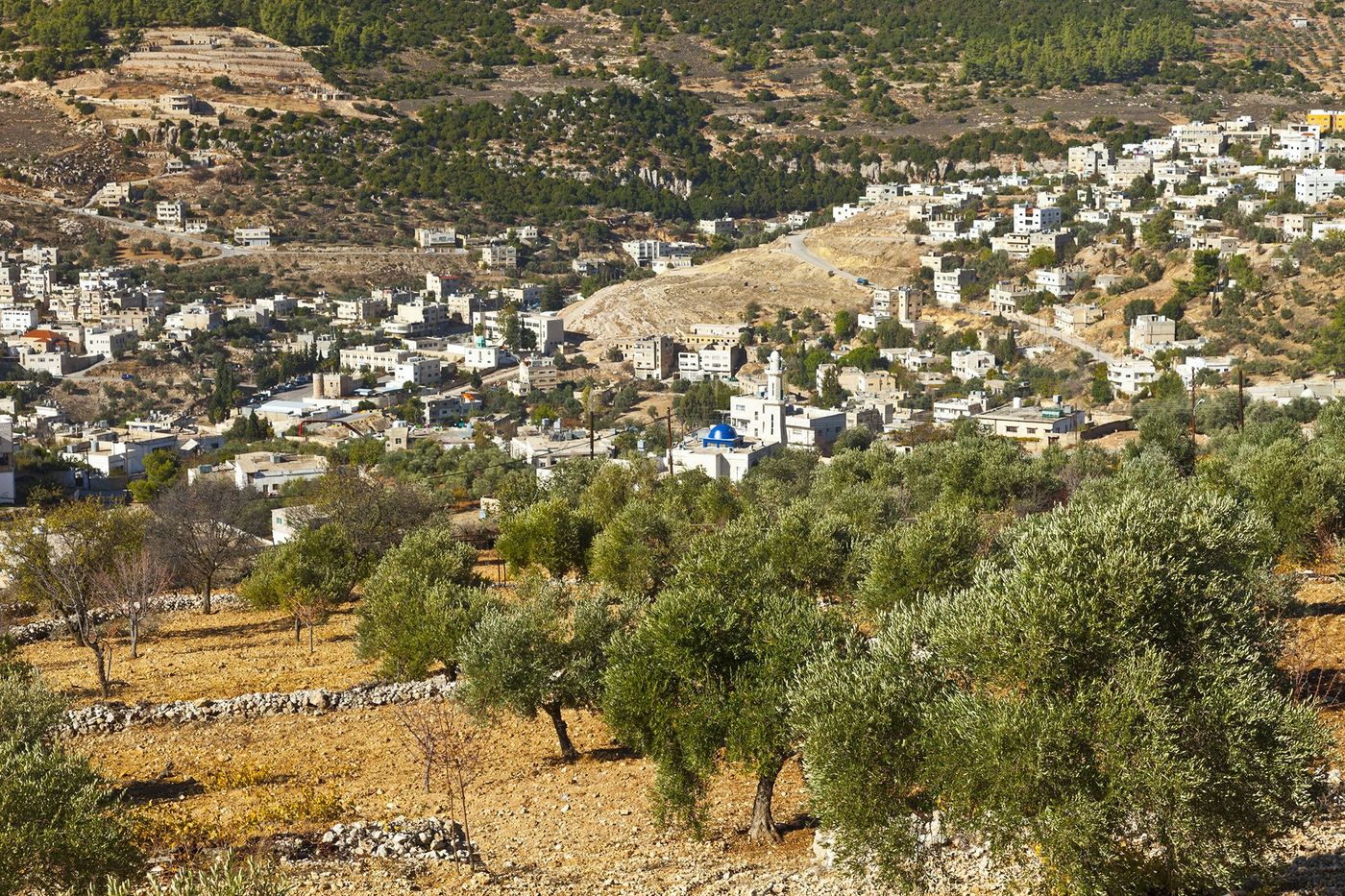 Jordanie Ajlun