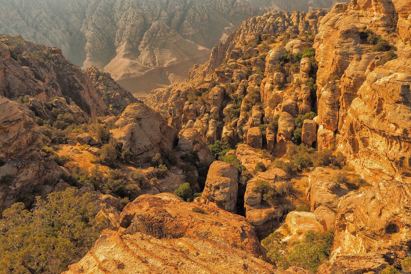 Jordanie Dana