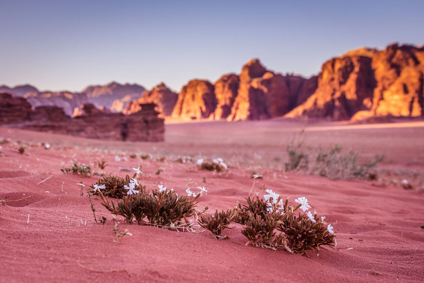 Jordanie Wadi Rum