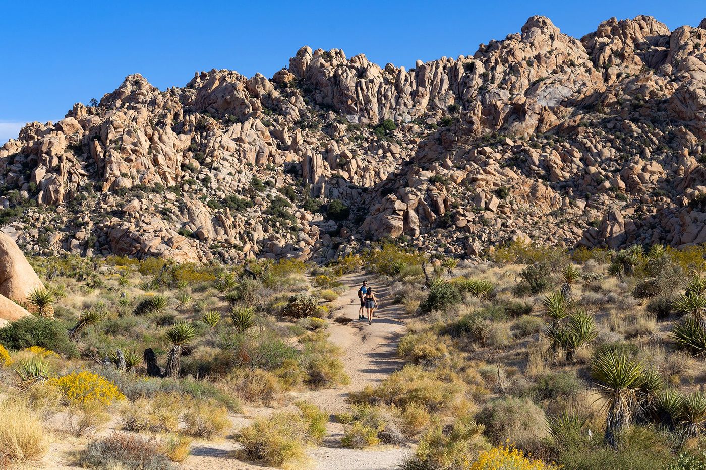 Joshua Tree National Park - Indian Cove Trail