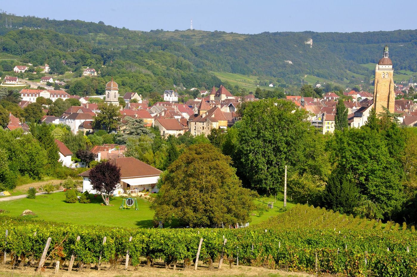 Jura Arbois