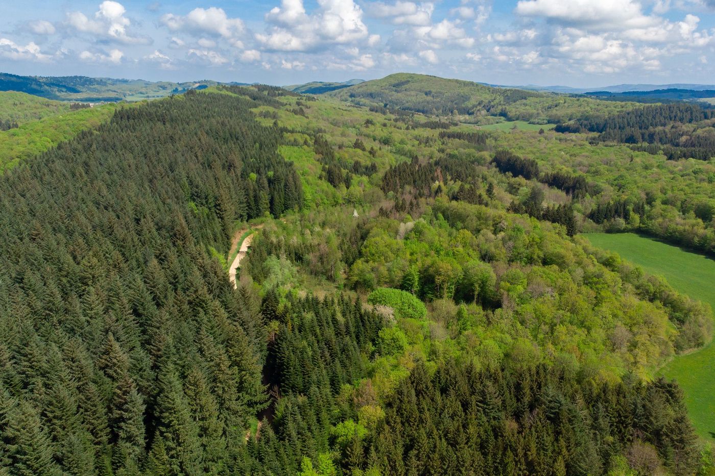 Jura Forêt