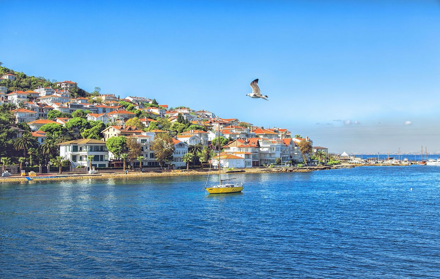 Kınalıada
