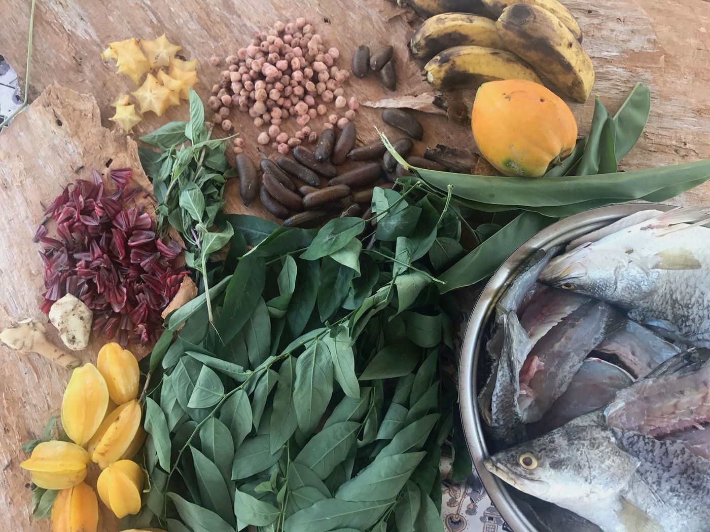 "Bush tucker", parc national de Kakadu, Territoire du Nord