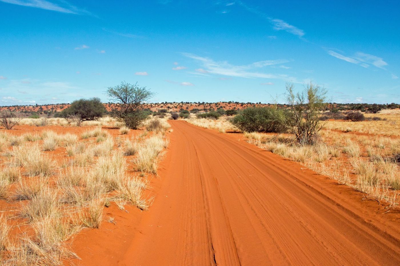 Kalahari Botswana Désert