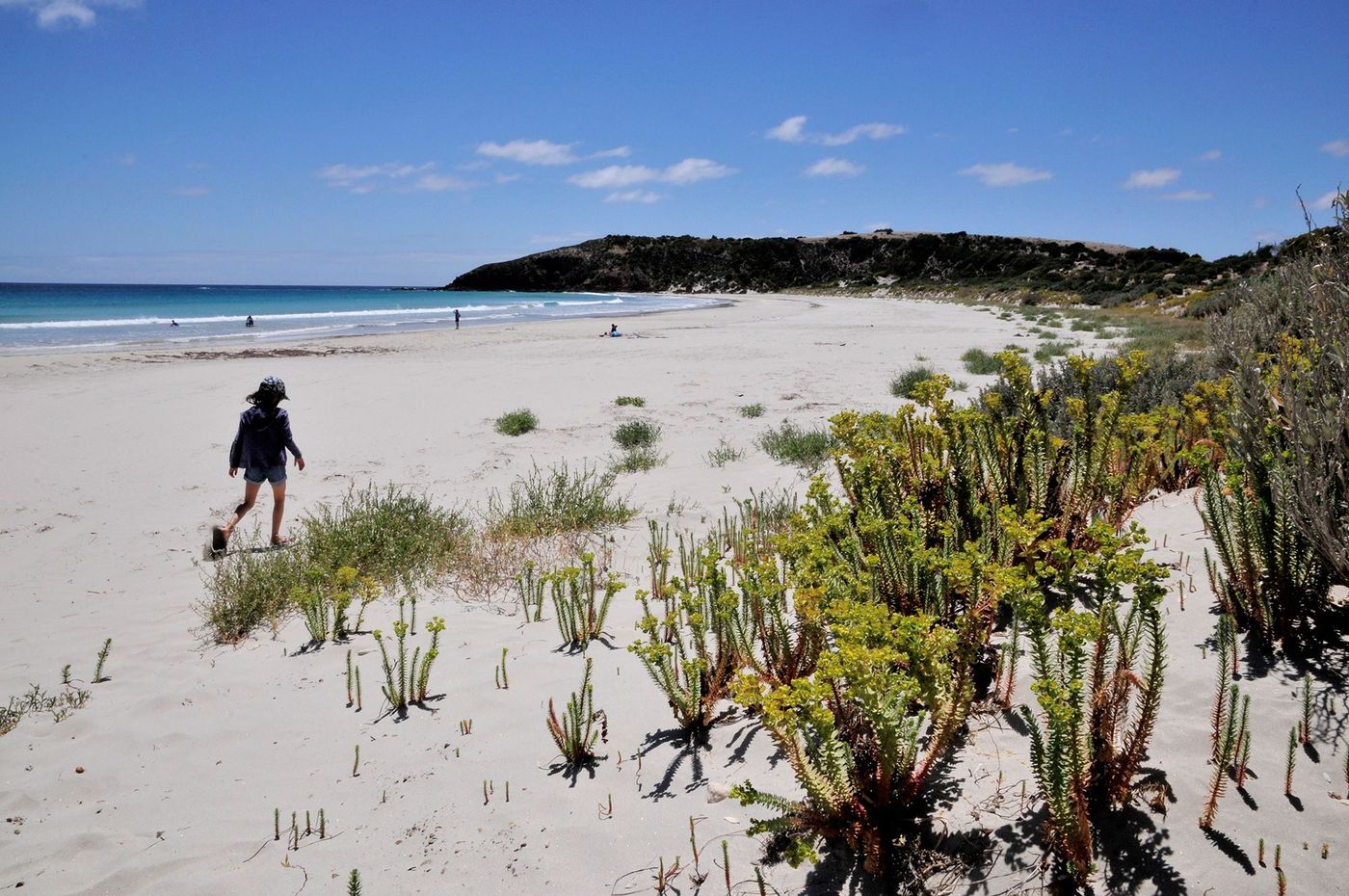 Australie Kangaroo Island Plage de Snelling