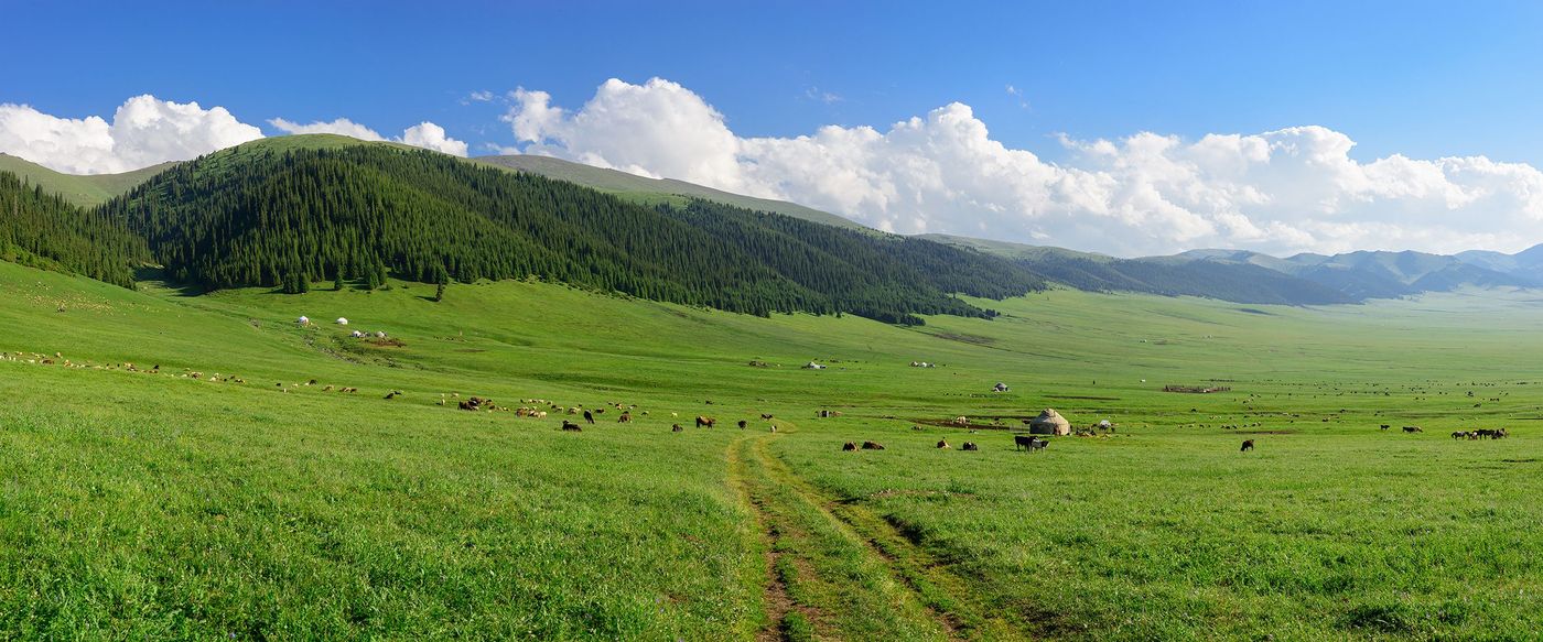 Kazakhstan Tien Shan Plateau Asy