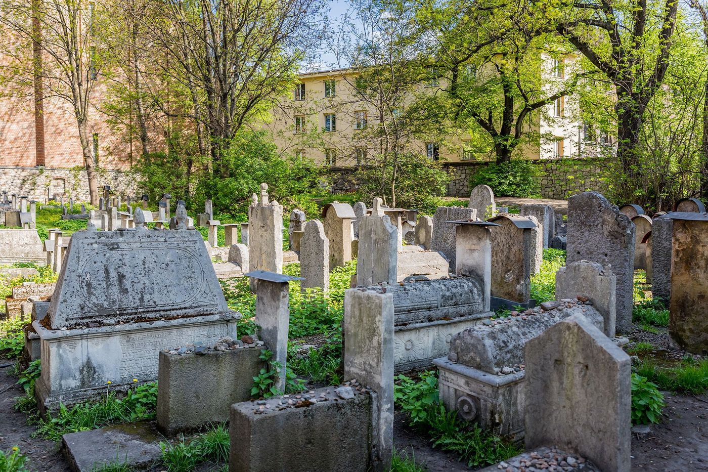 Kazimierz - vieux cimetière juif Remu’h