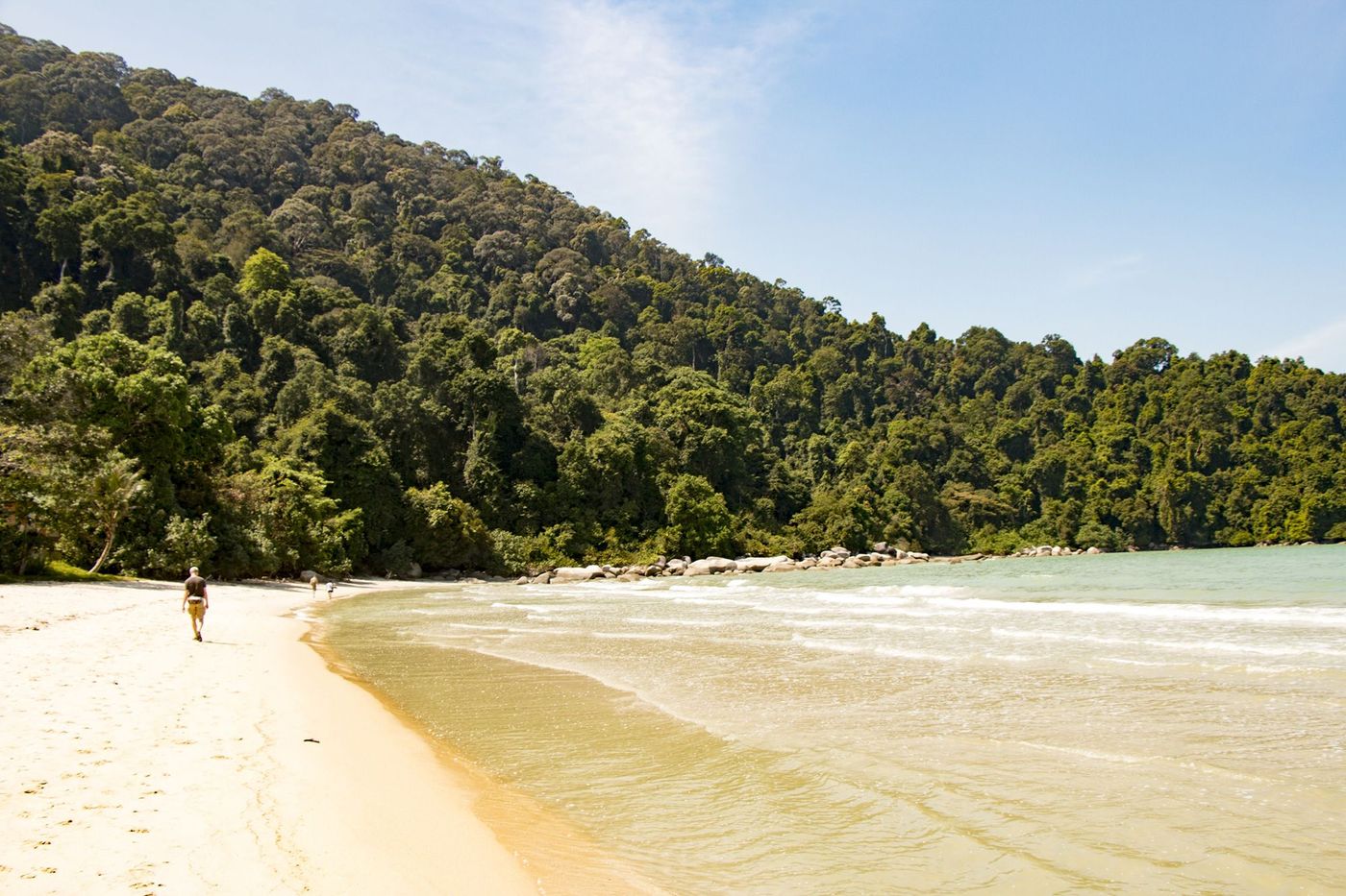 Malaisie Parc National de Penang Plage de Kelut Aling