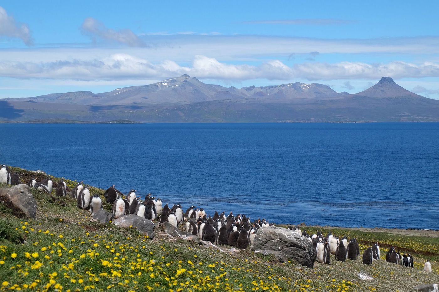 Kerguelen