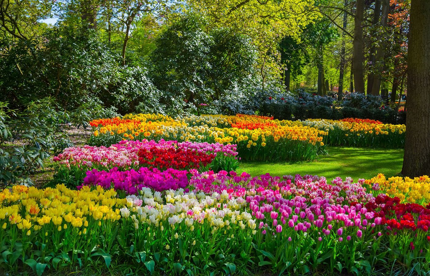 Keukenhof park