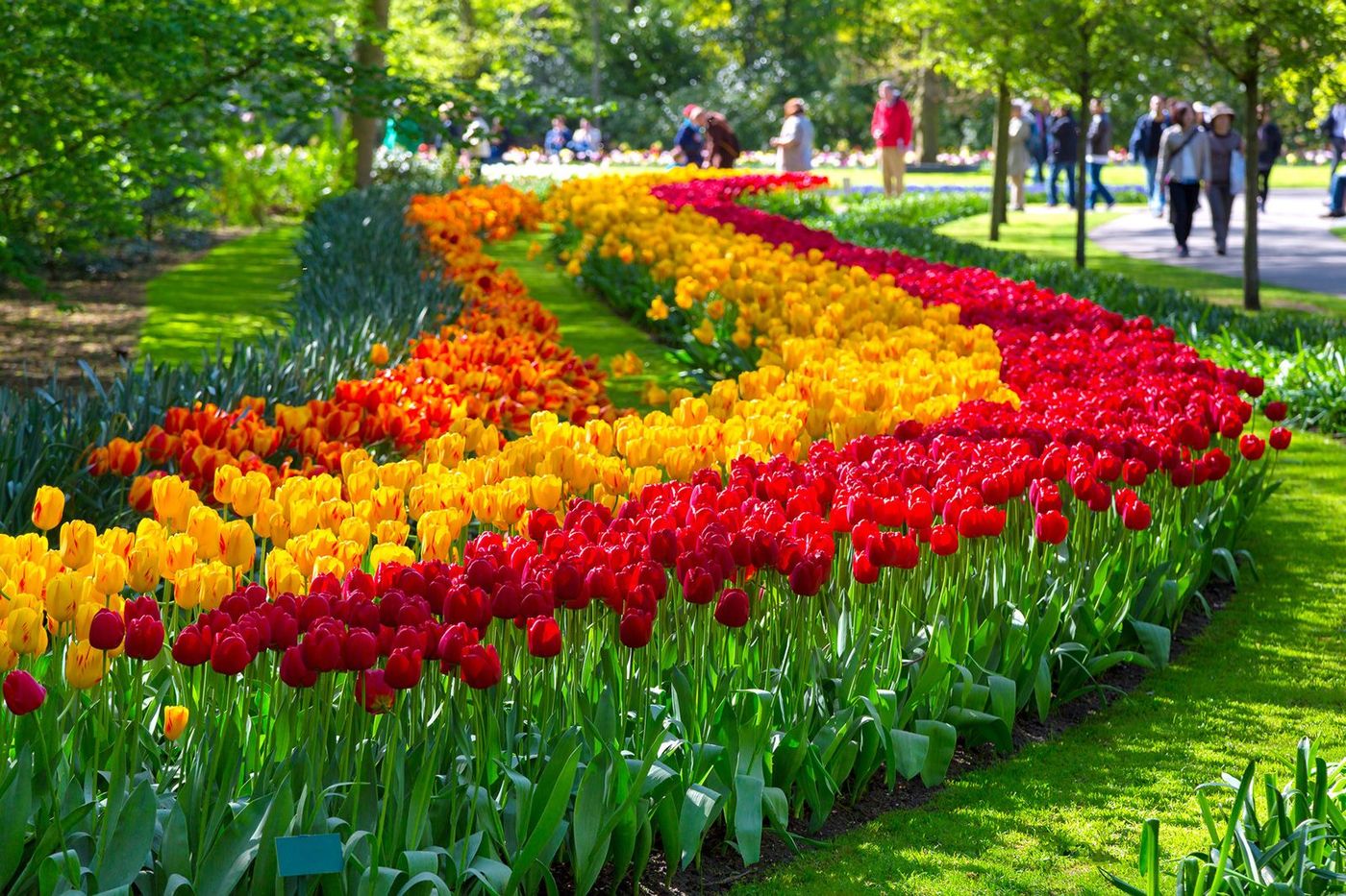 Pays-Bas Parc du Keukenhof
