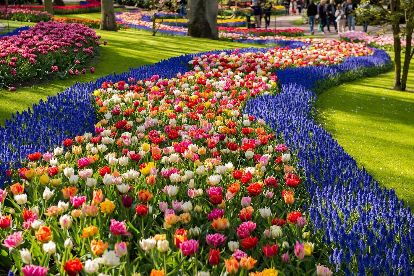 Jardin Keukenhof à Lisse - Pays-Bas