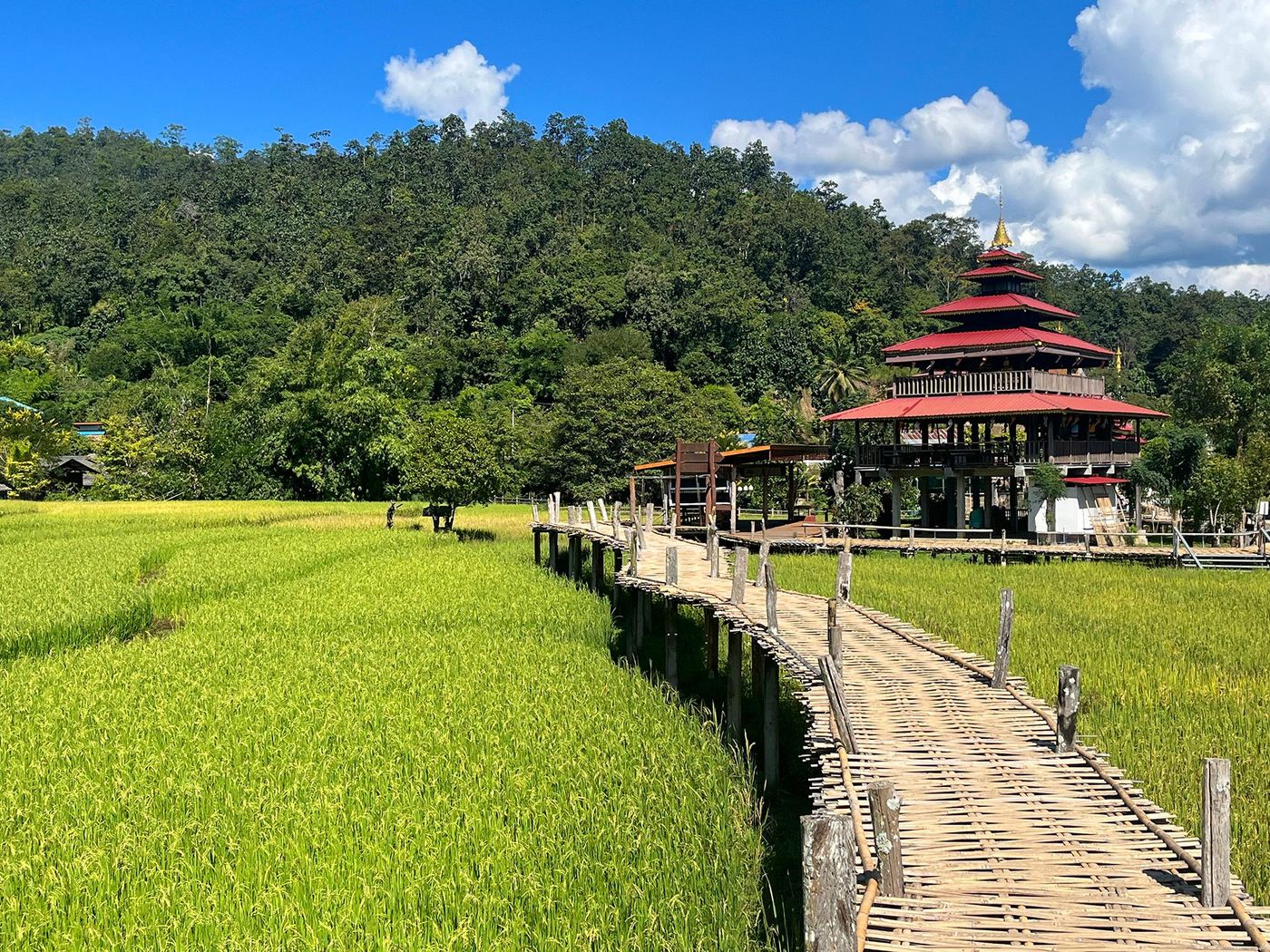 Kho Ku So