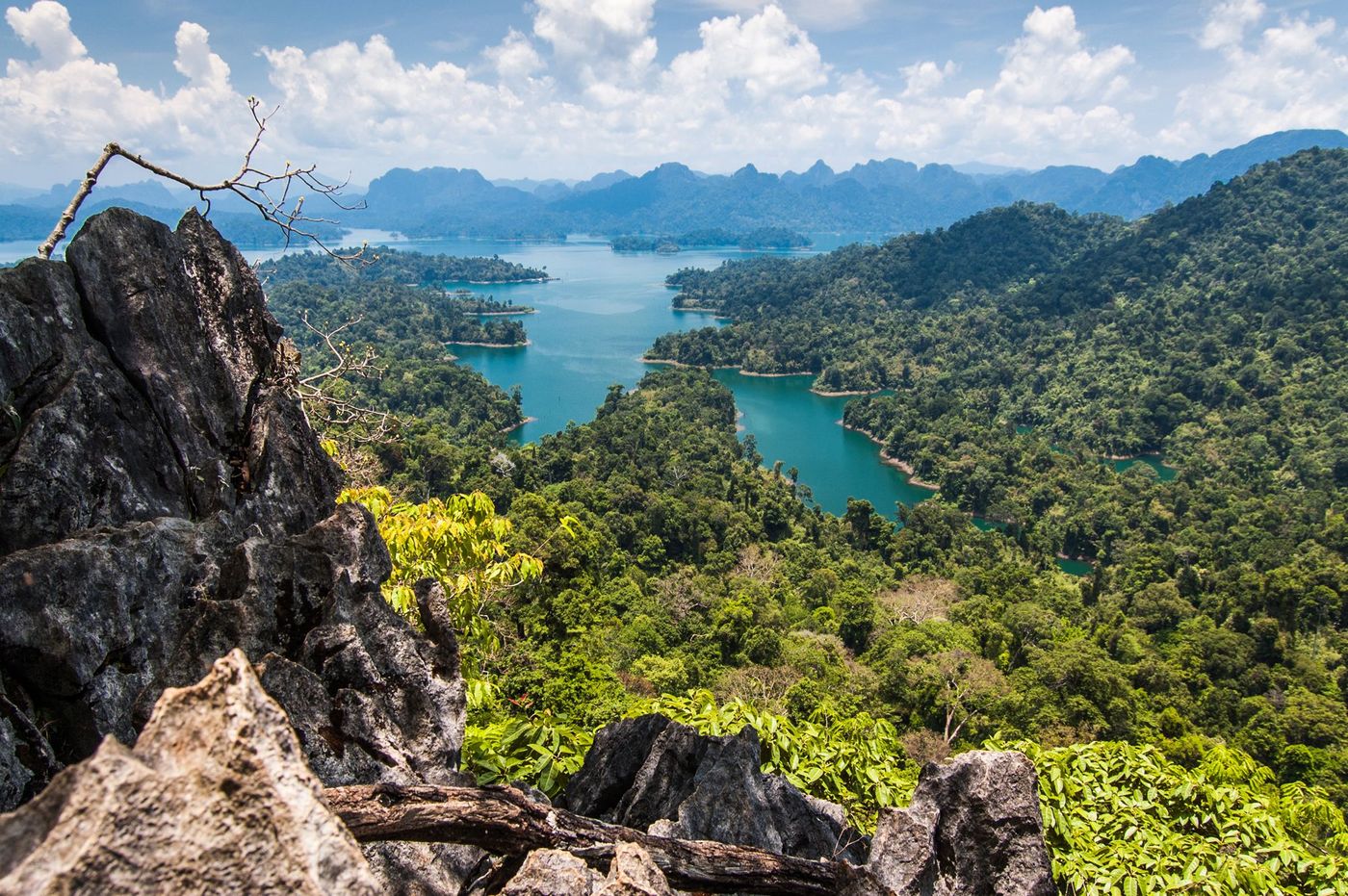 Khoa Sok Jungle Thaïlande