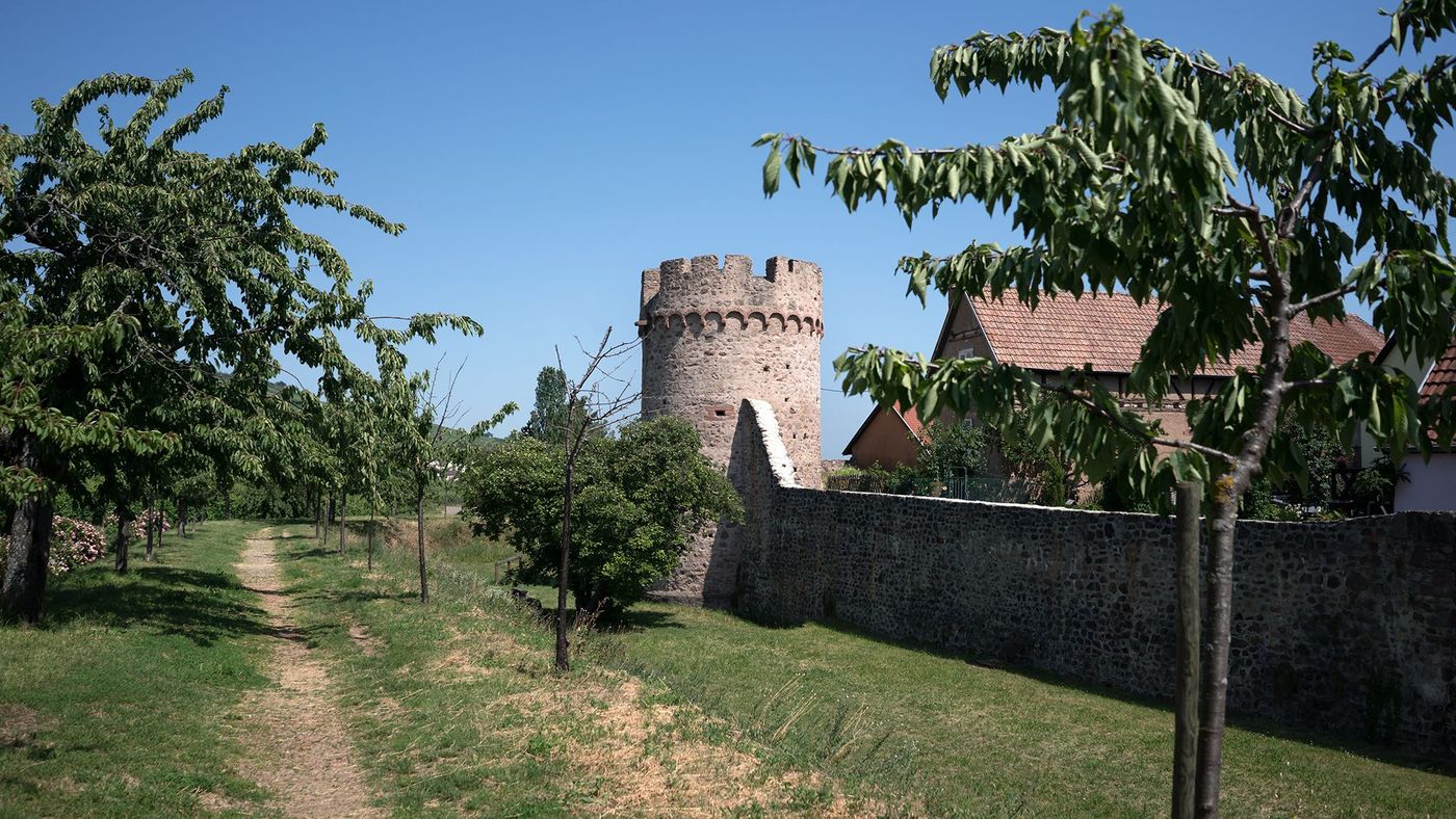 Kientzheim
