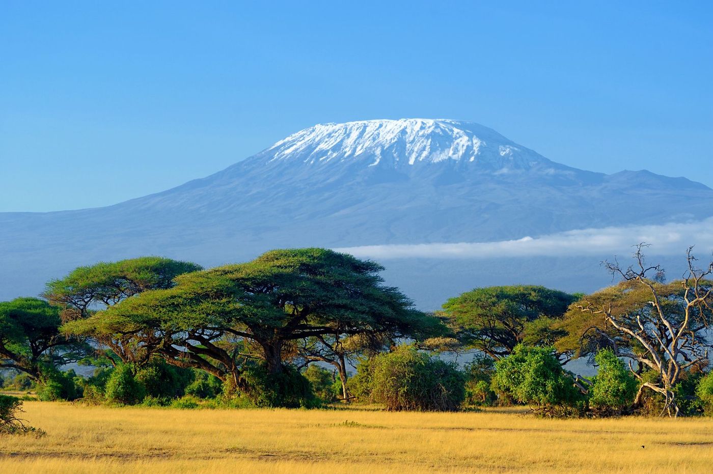 Kilimandjaro Tanzanie Mont