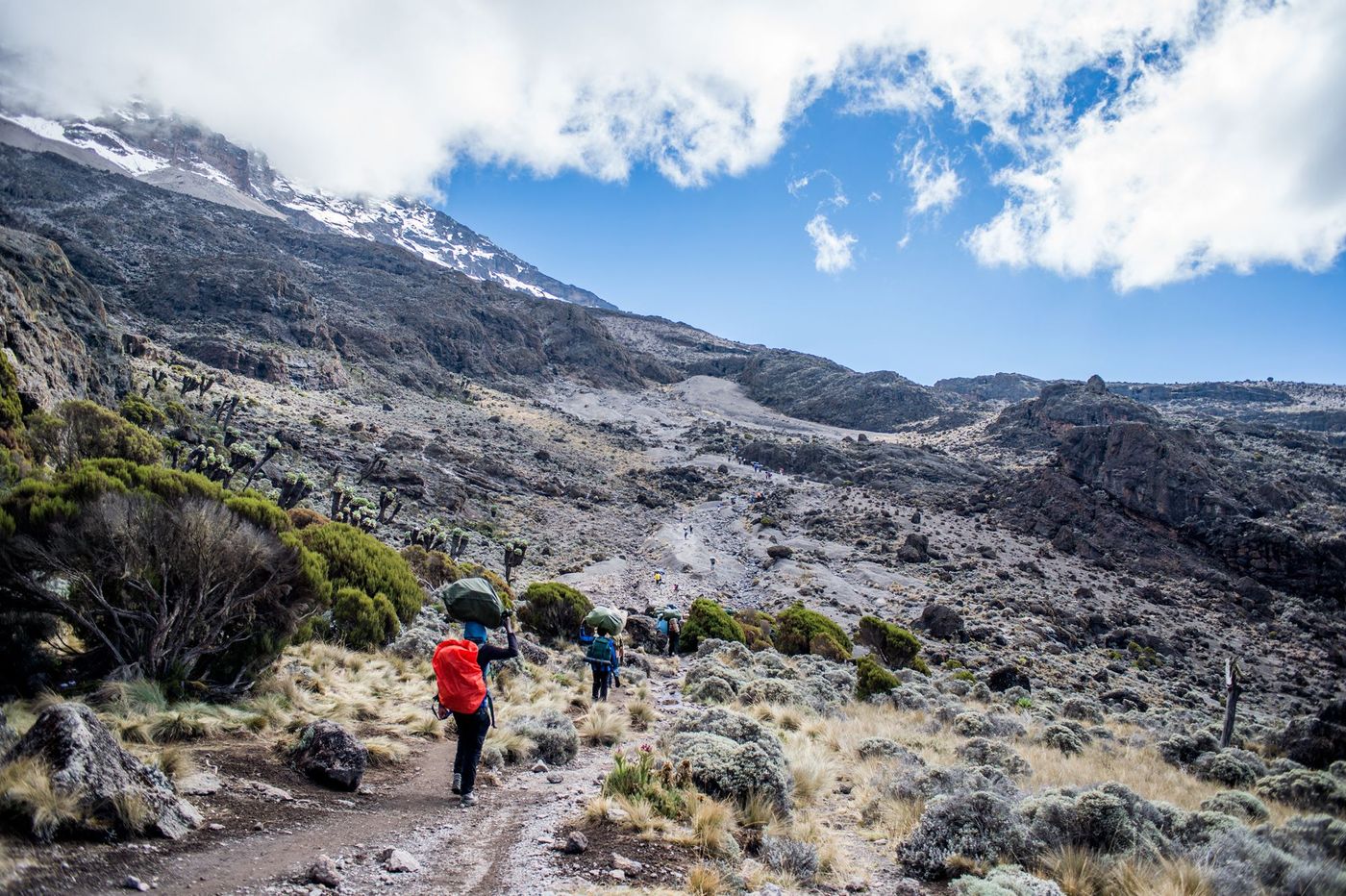 Kilimandjaro Trek Tanzanie