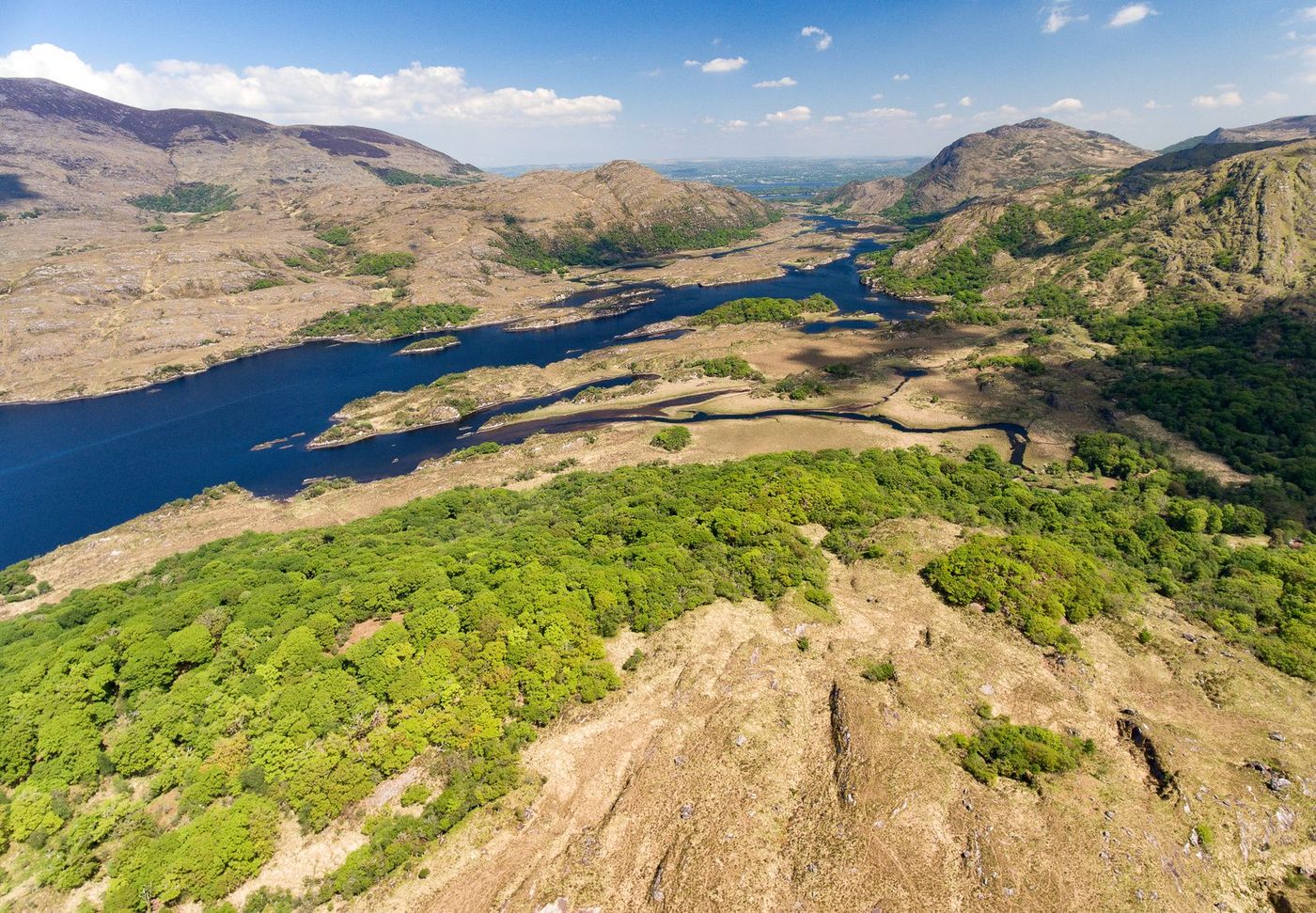 Irlande Parc de Killarney