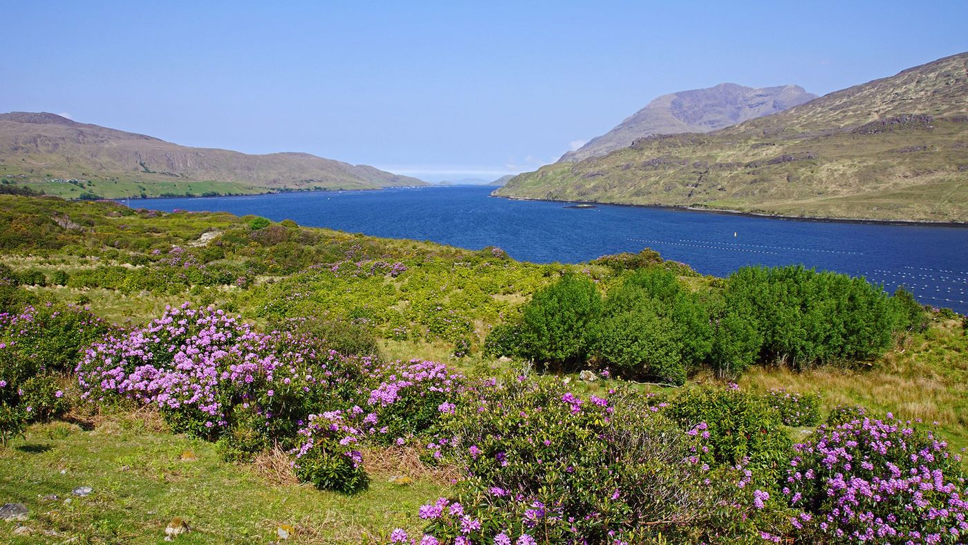 Killary Harbour
