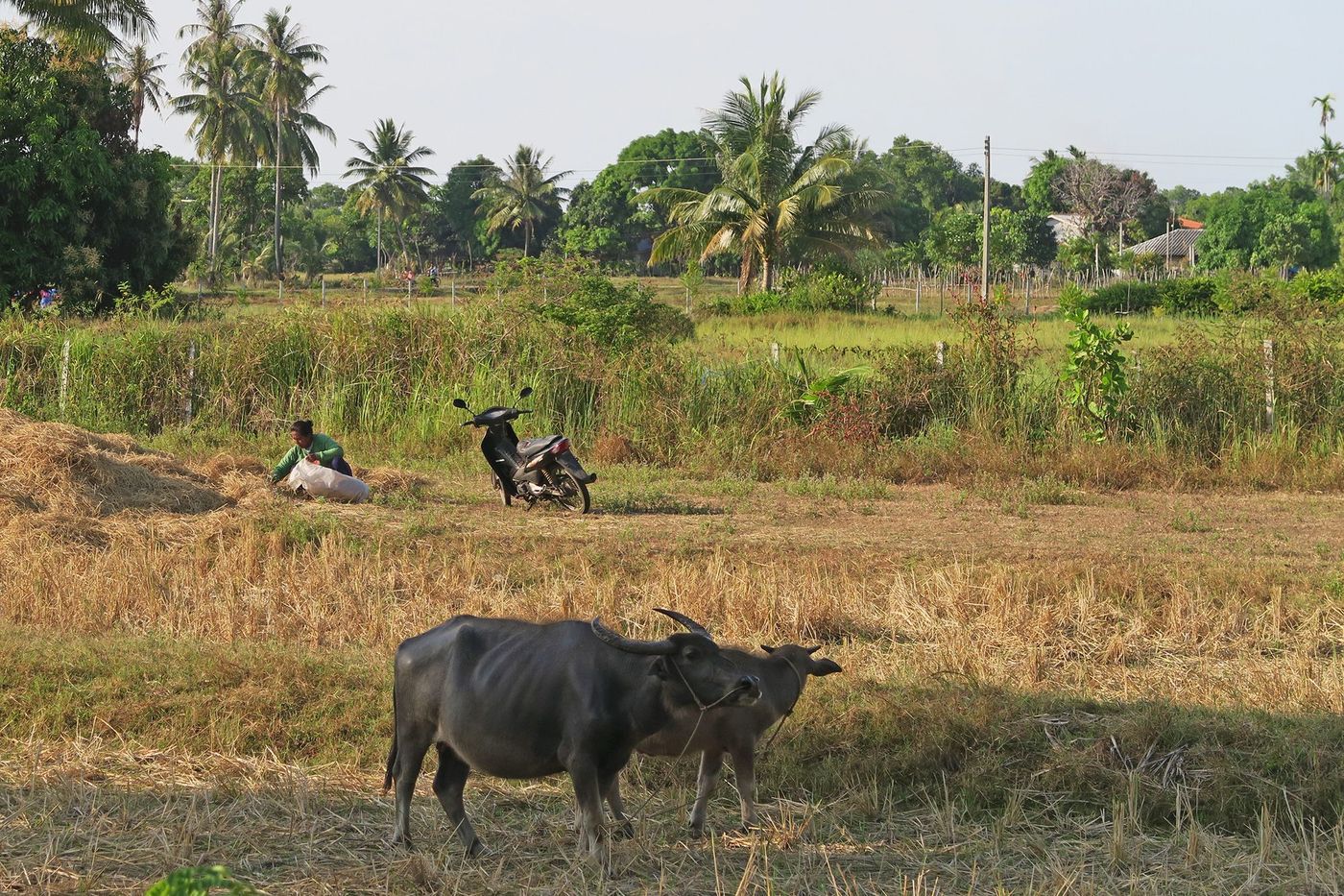 Thaïlande Ko Sukorn