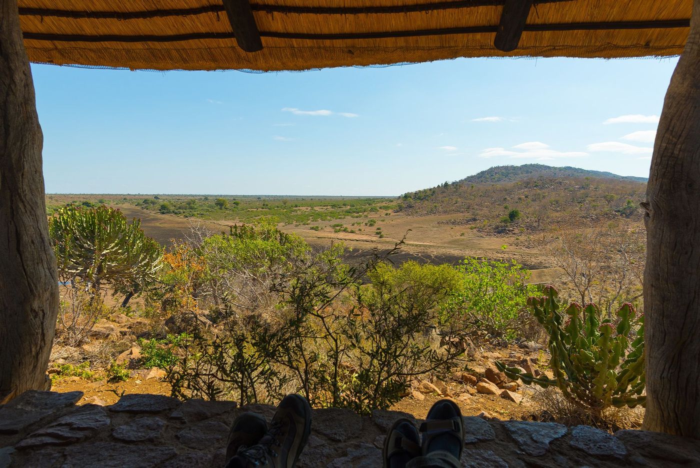 Kruger Parc Afrique du Sud