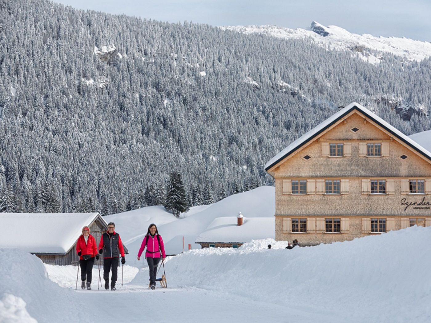 Bregenzerwald