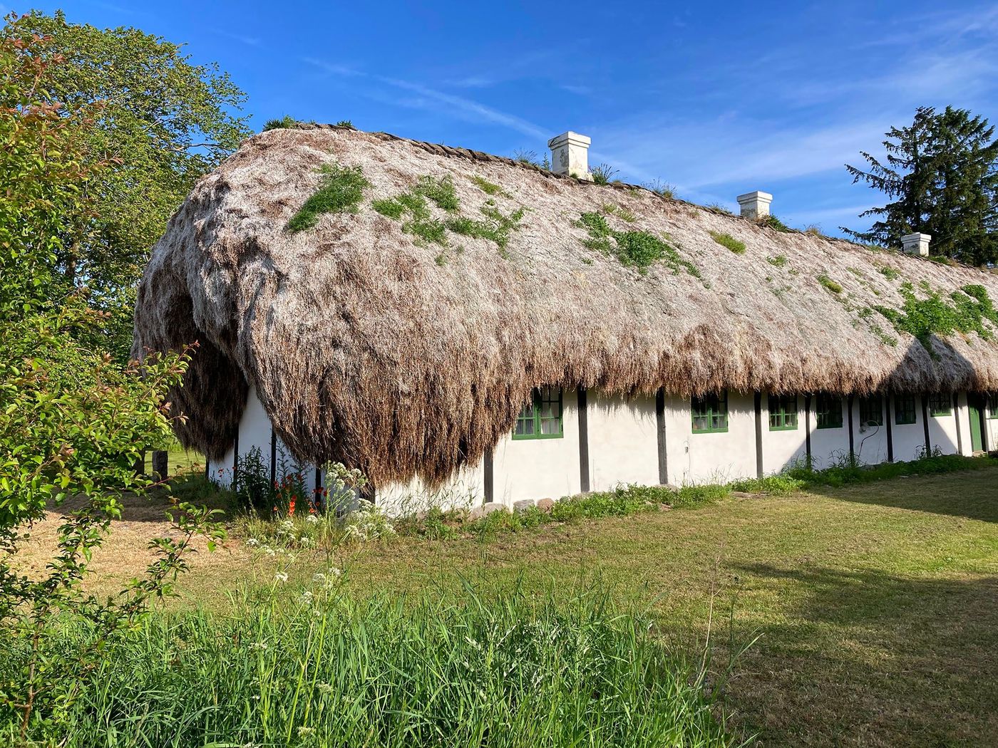 Læsø - Ferme à colombages au toit d’algues