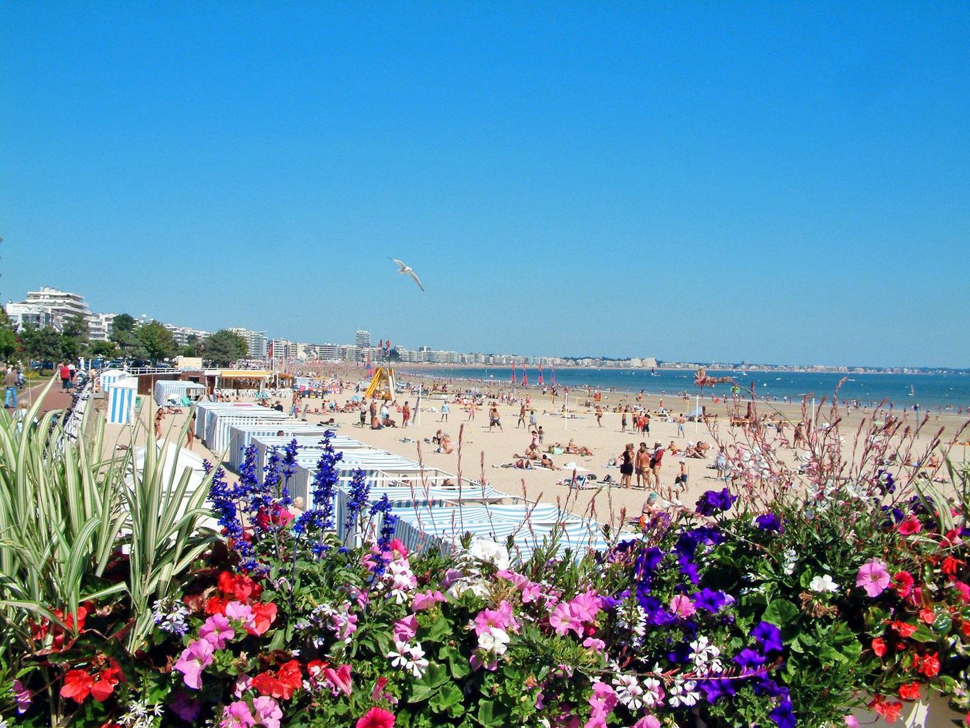 La Baule Fleurs Villes