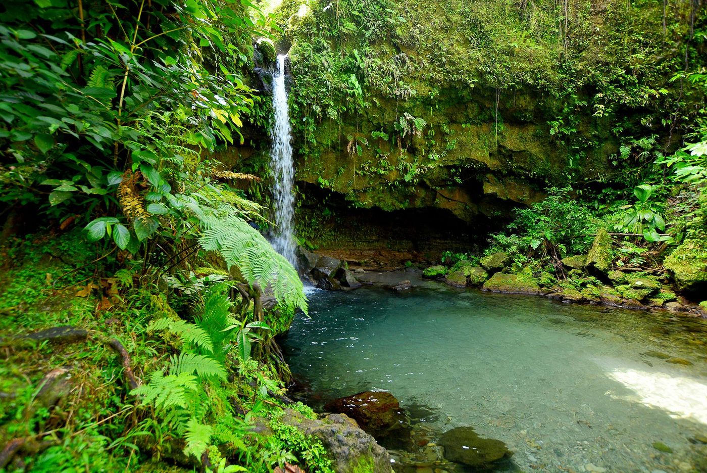 La Dominique Emerald Pool