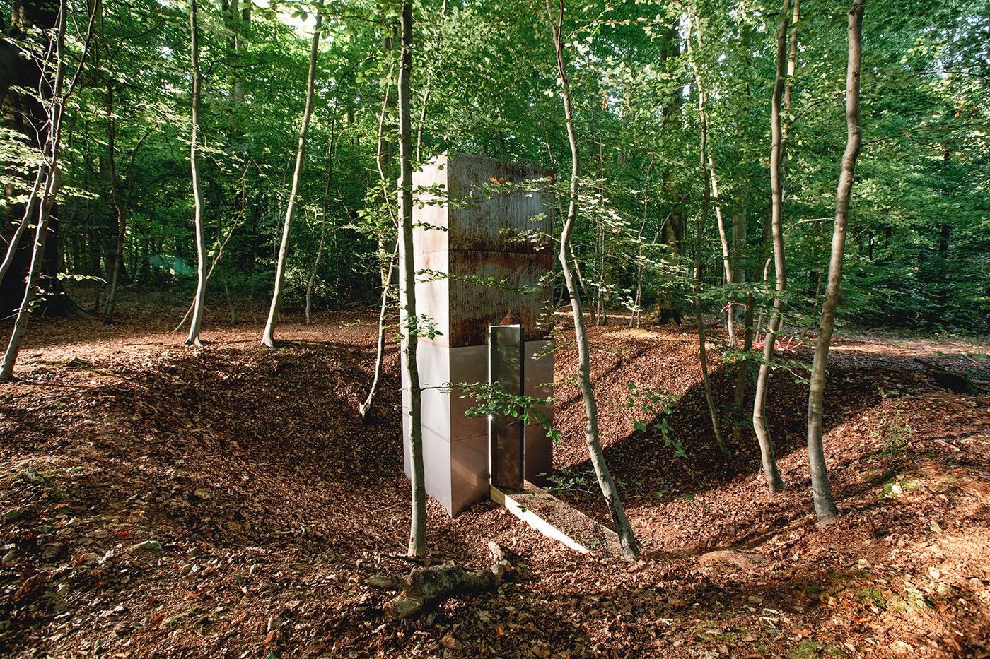Forêt monumentale Forêt magnifiée