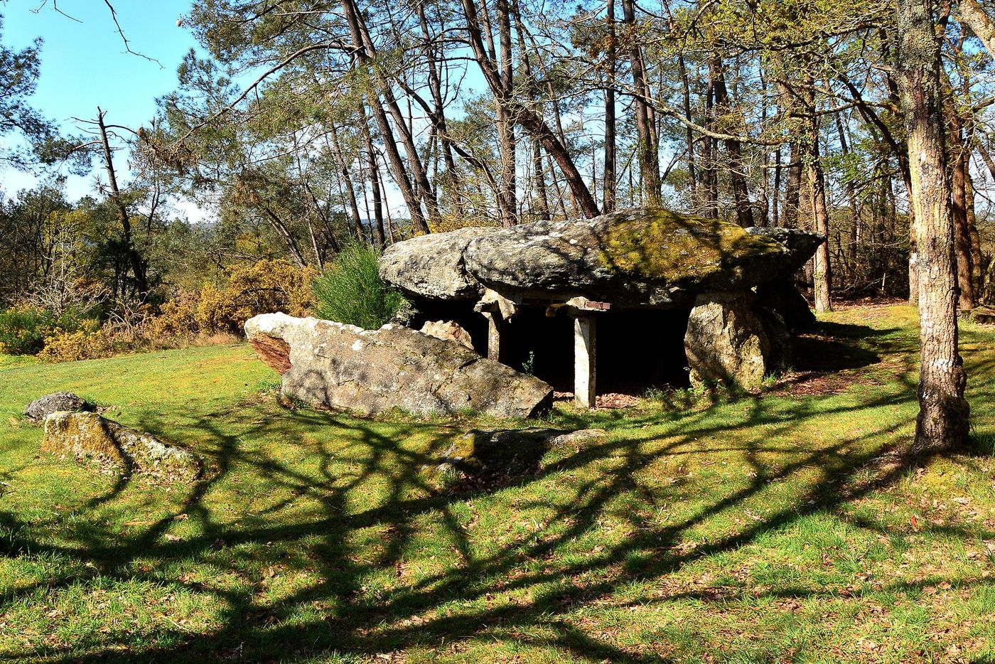 Morbihan La Gacilly Dolmen des tablettes