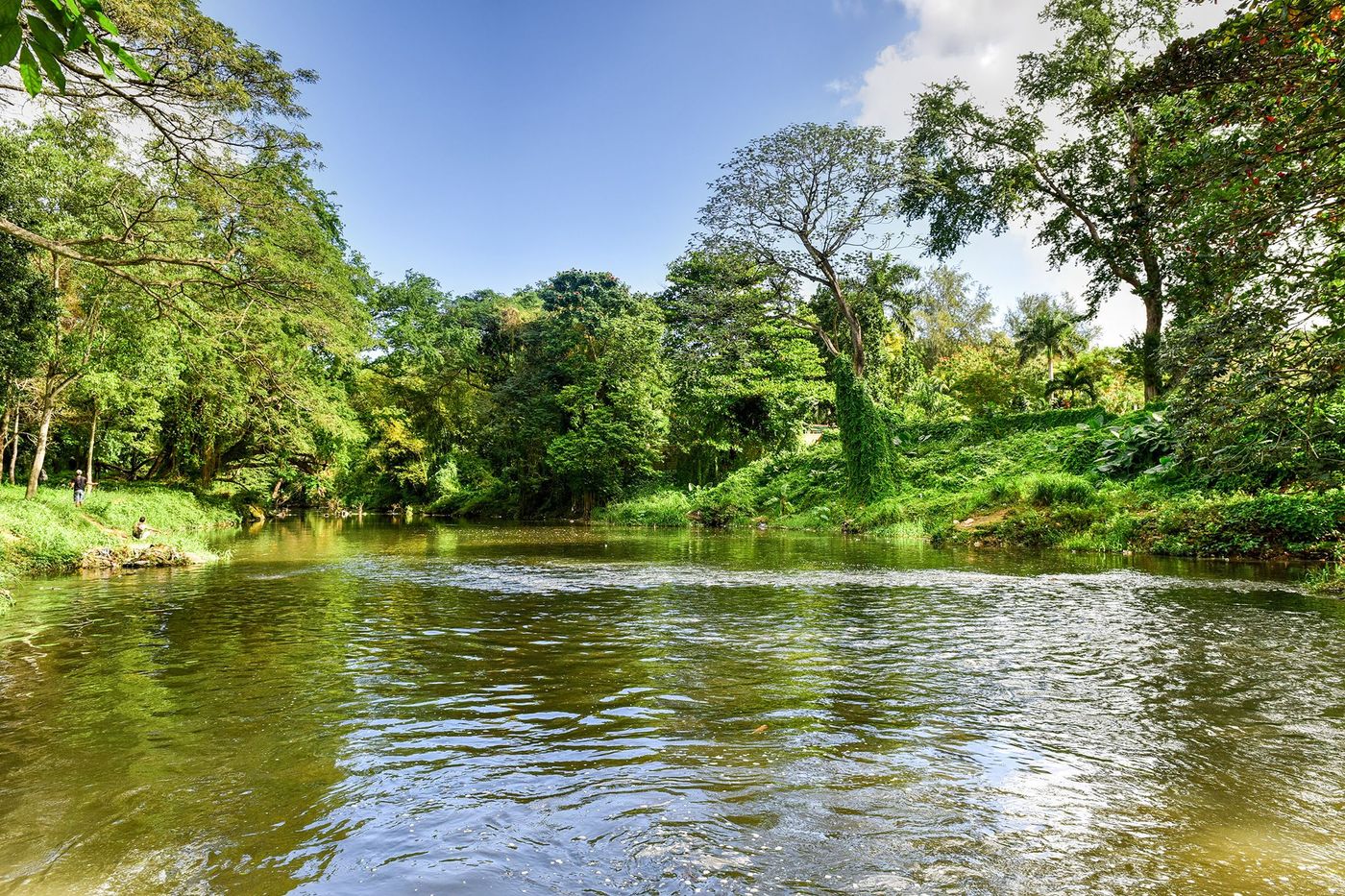 Cuba La Havane Almendares Park