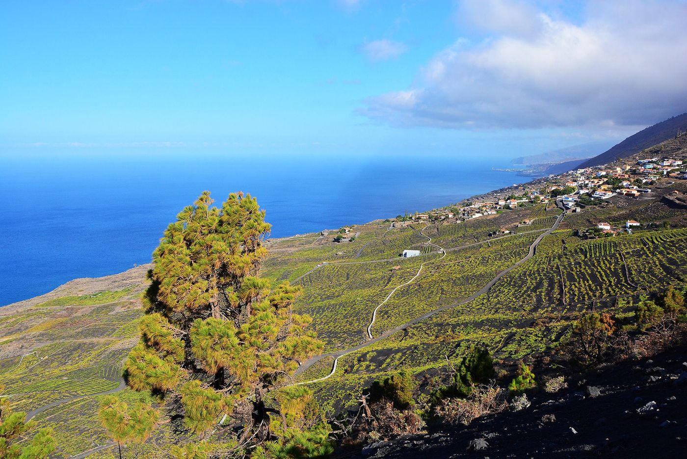 La Palma