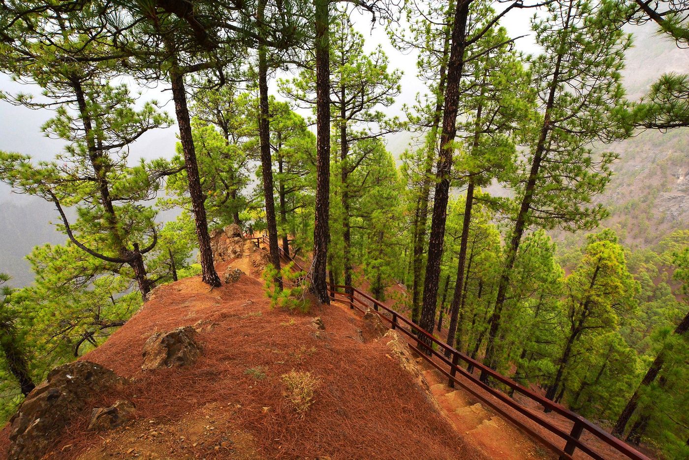 La Palma Caldeira de Taburiente