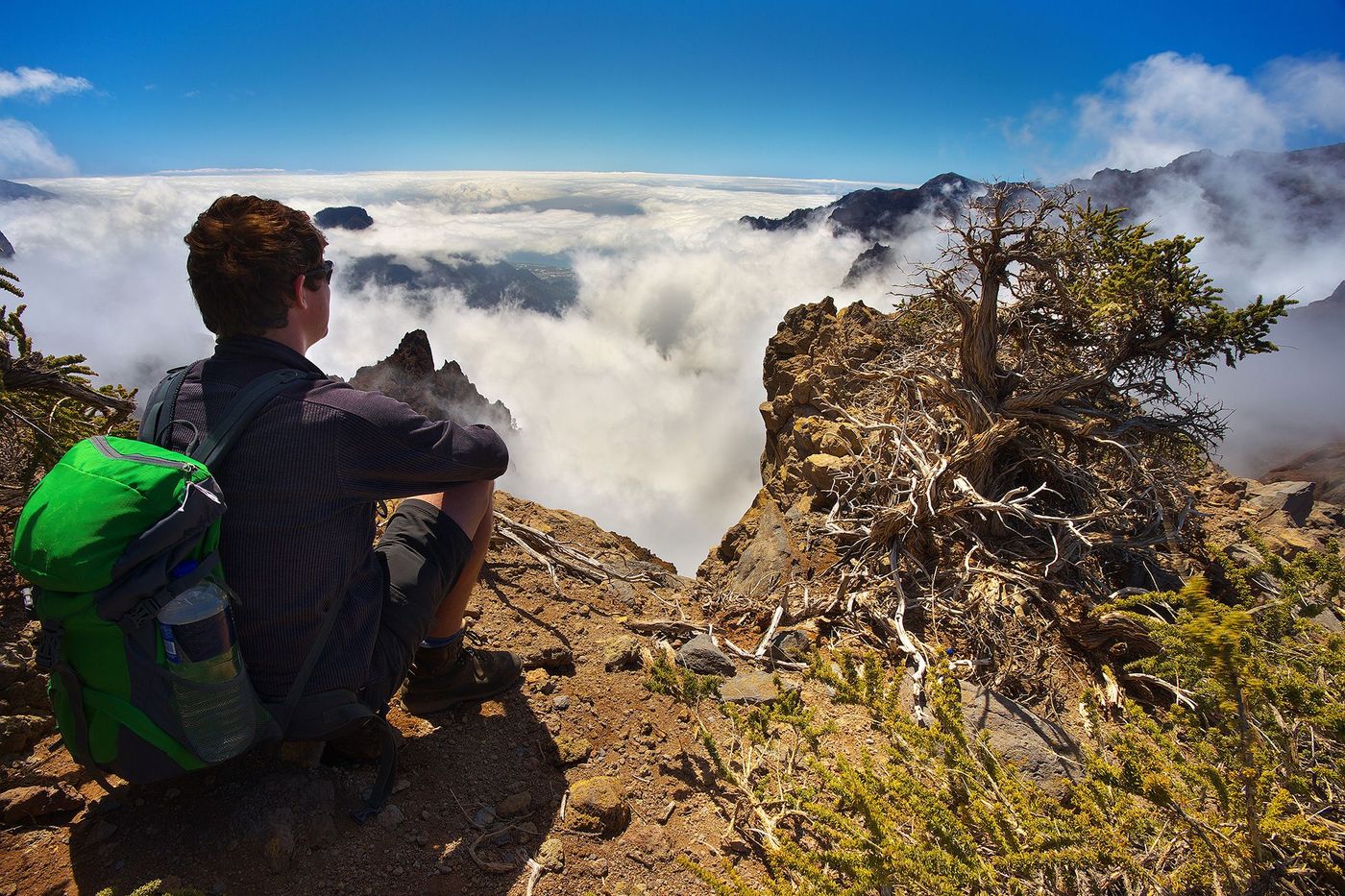 La Palma Caldera de Taburiente
