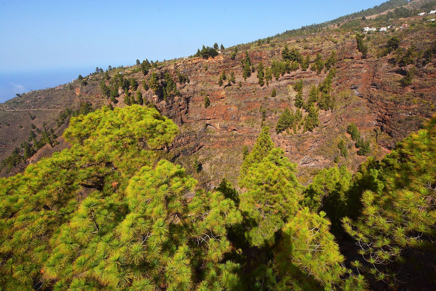 La Palma