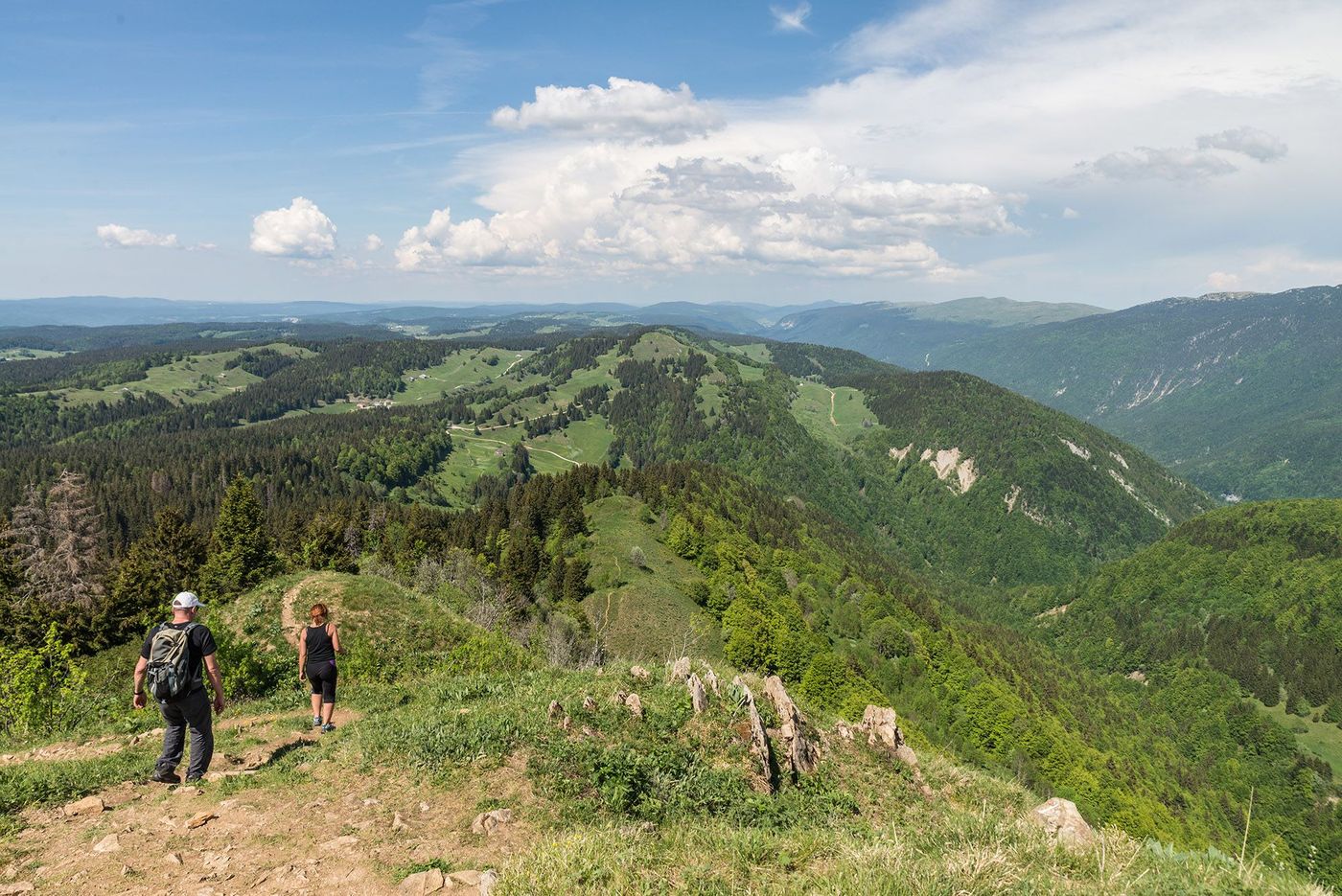 La Pesse, Haut Jura