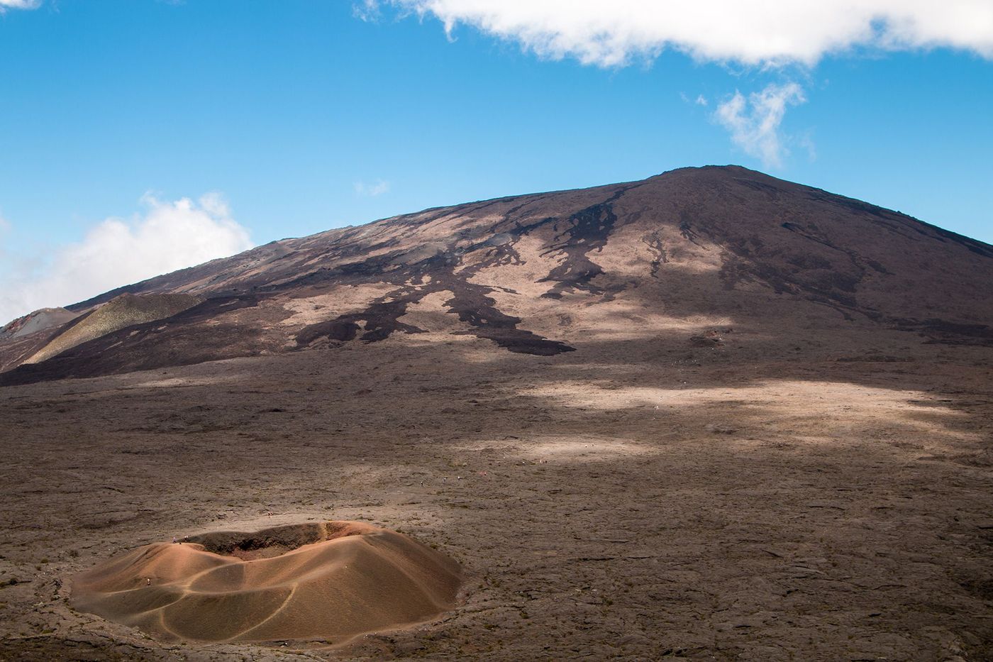 La Réunion Formica Leo