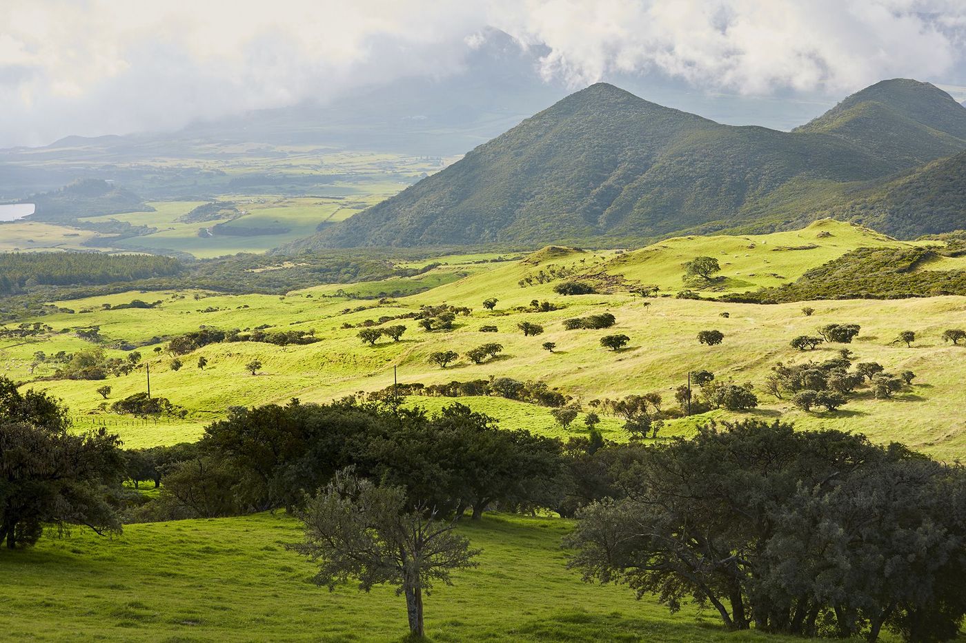 La Réunion Plaine des Cafres