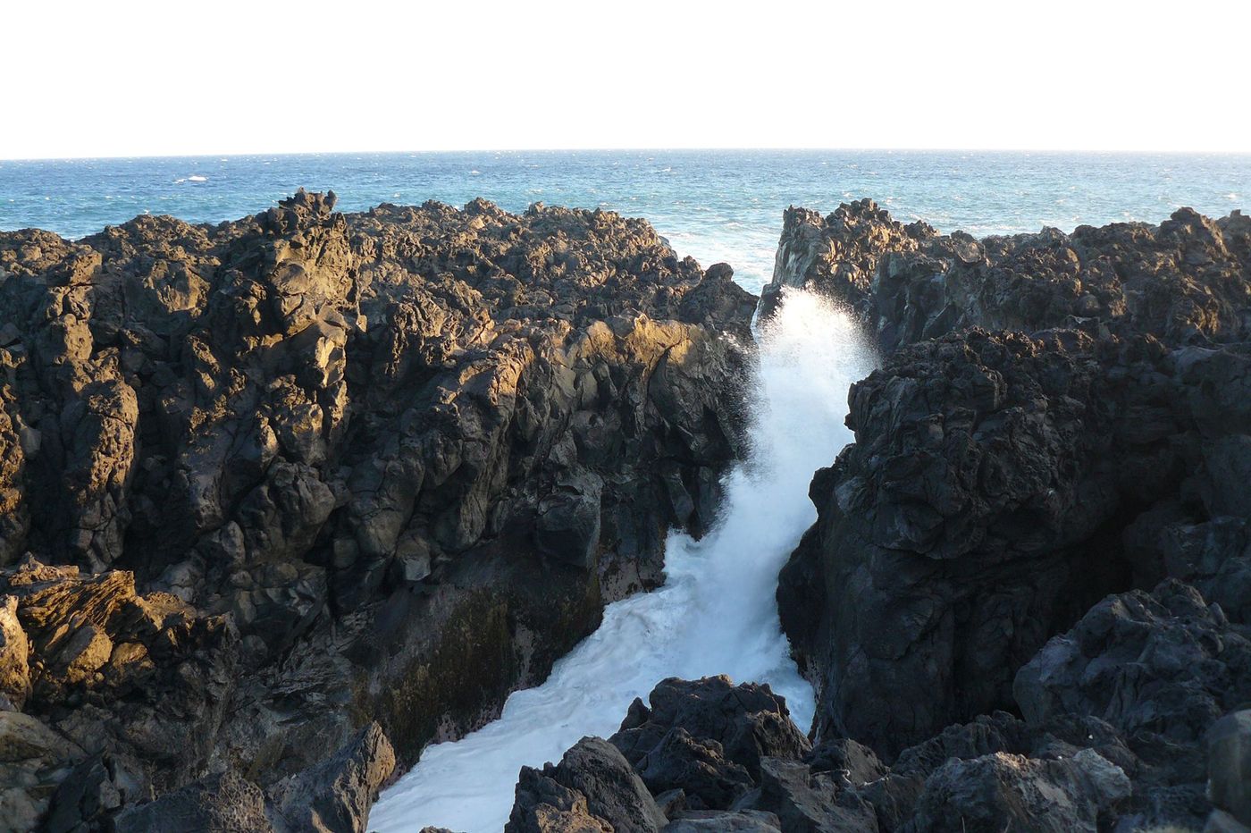 La Réunion Souffleur d'Arbonne
