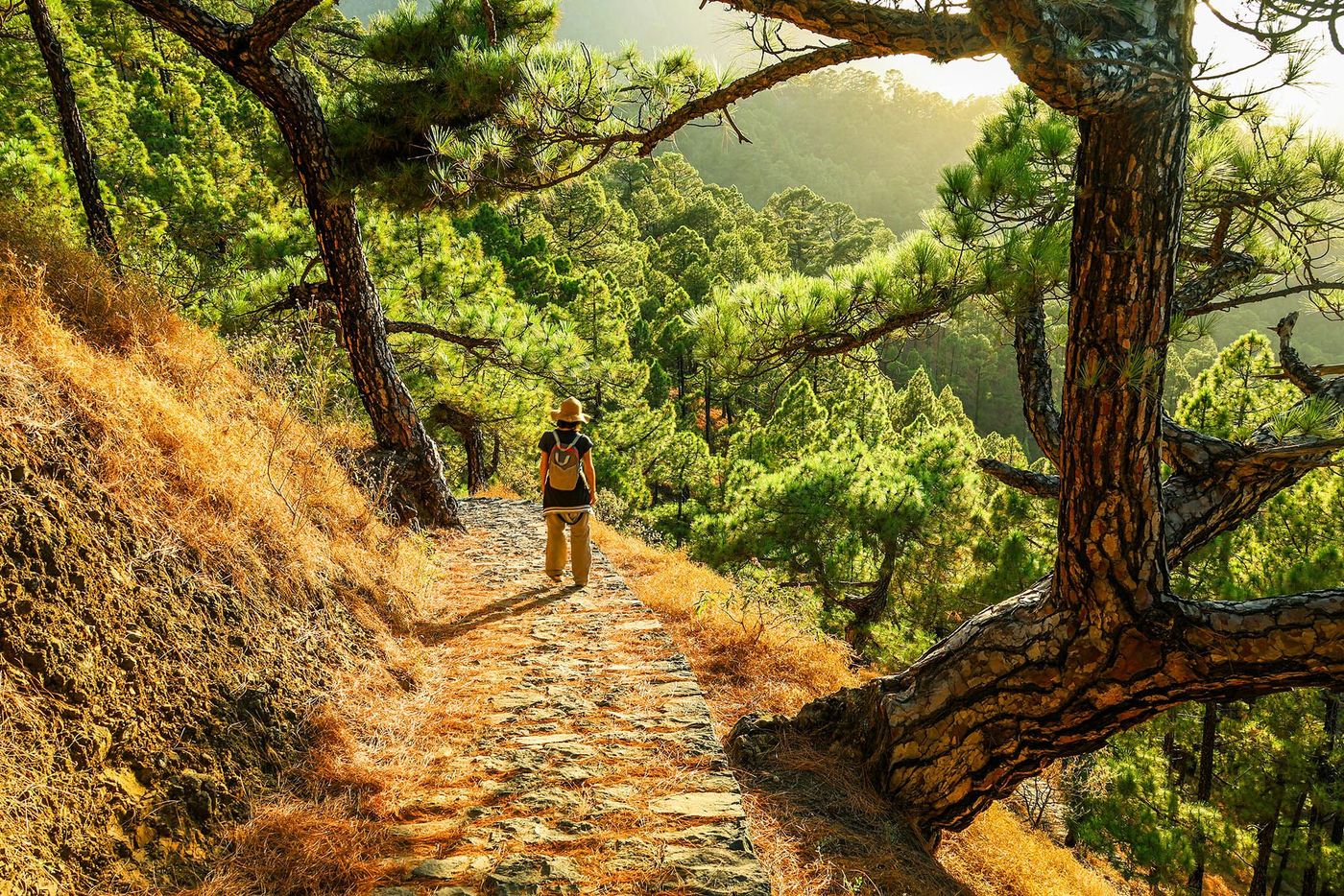 La Palma - caldeira de Taburiente