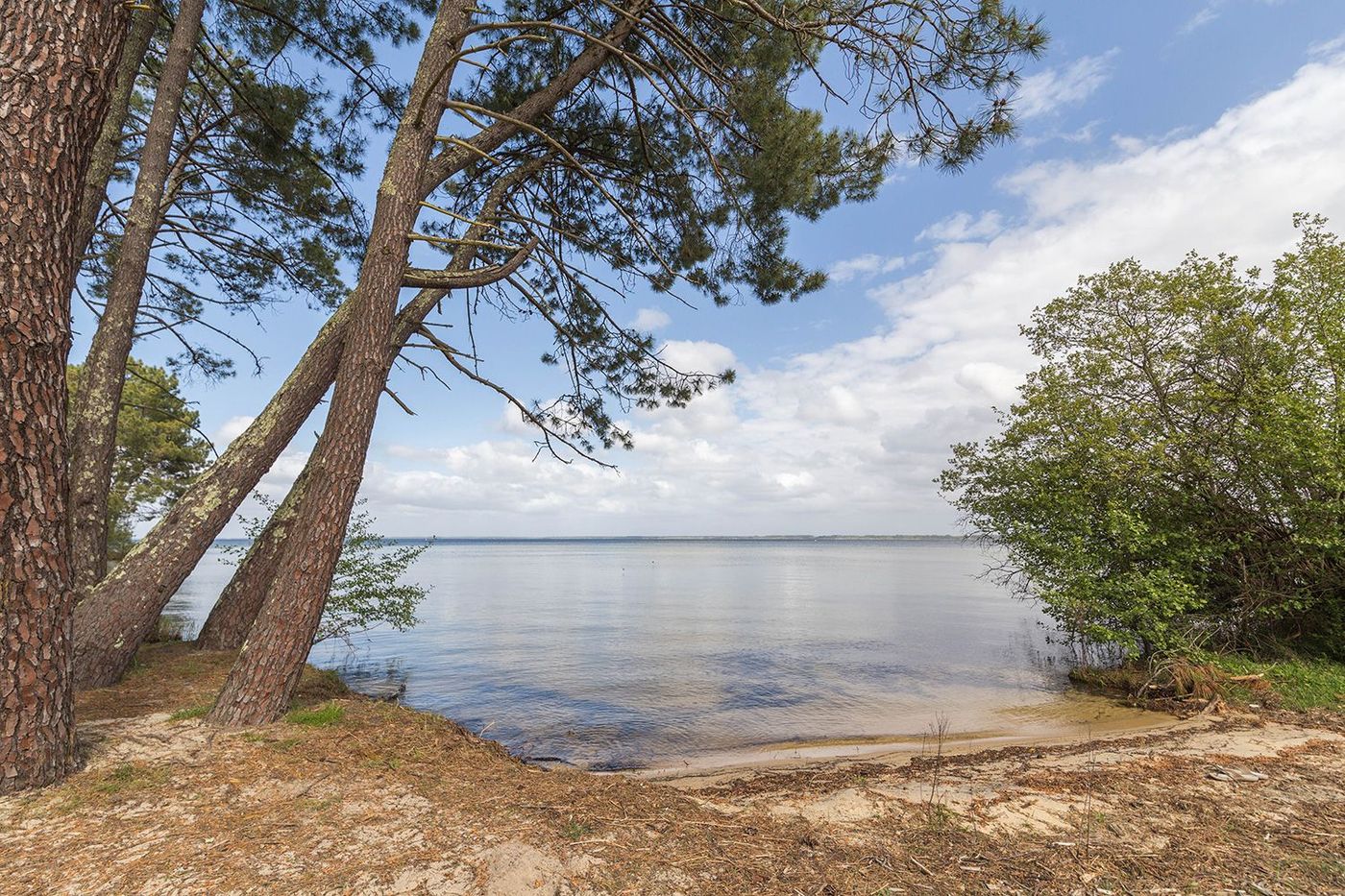 Lac Biscarrosse Cazaux Sanguinet