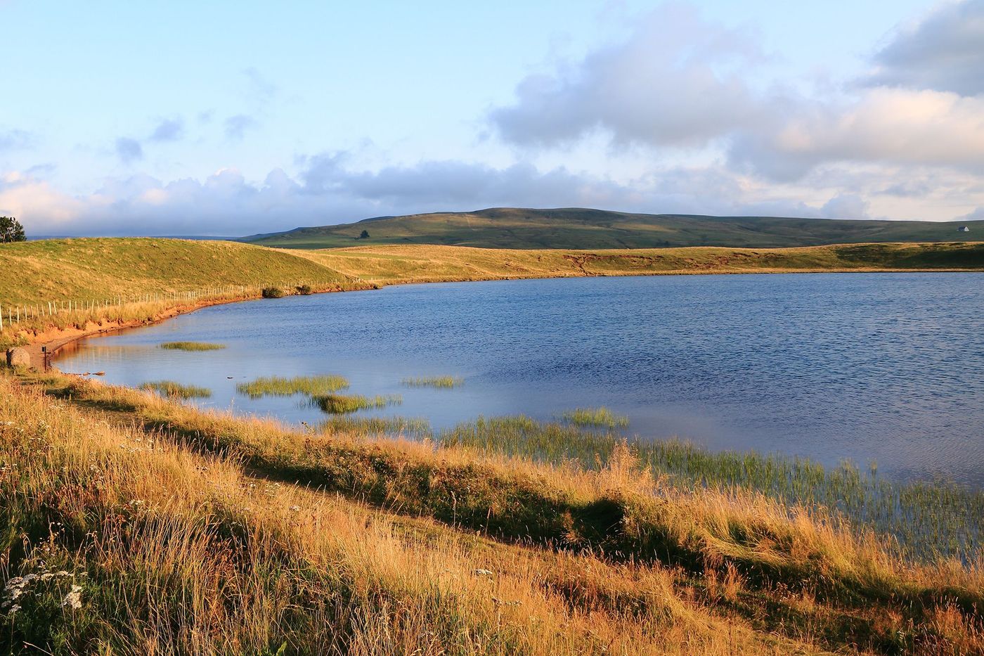 Réserve naturelle de La Godivelle