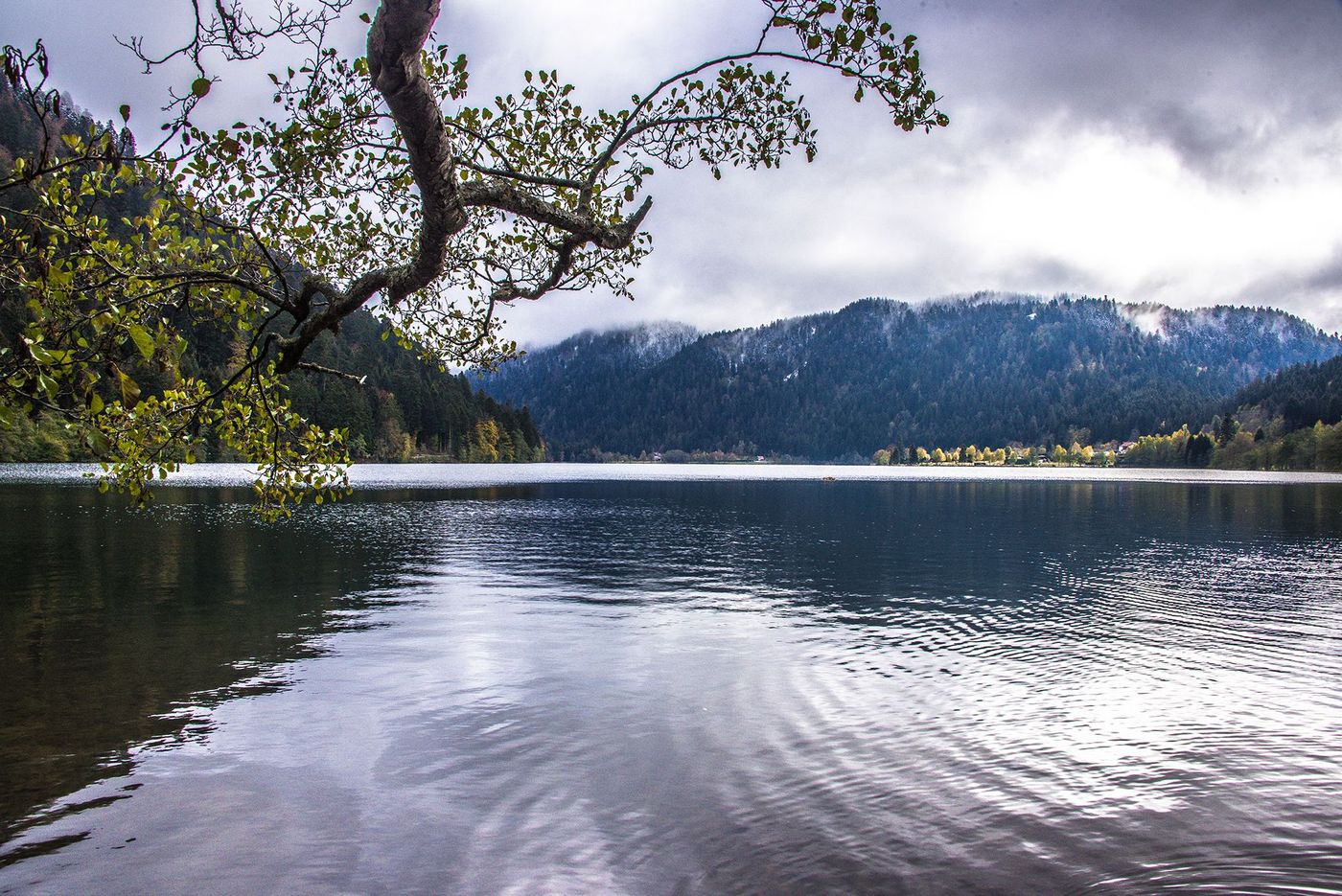 Lac de Longemer