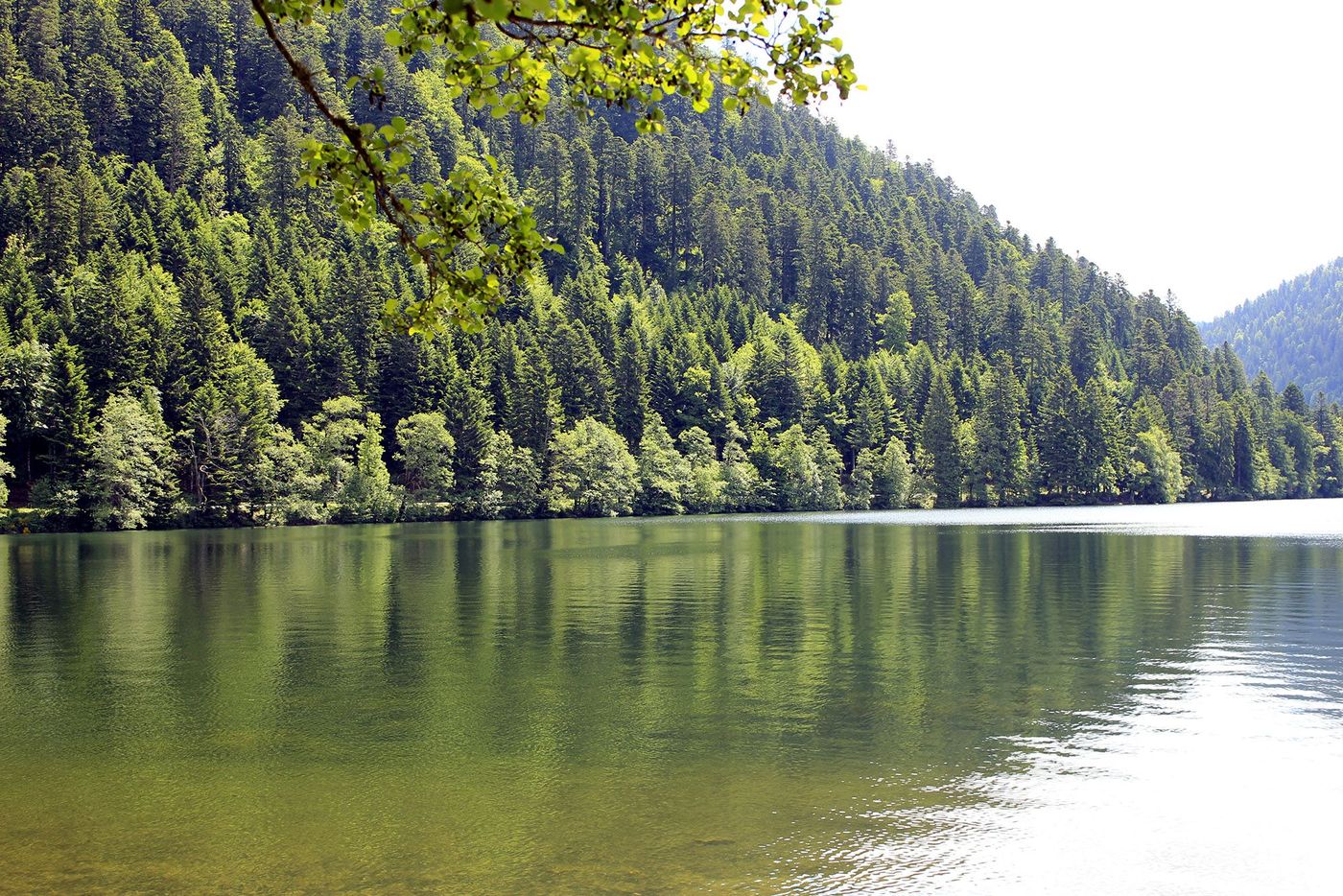 Lac de Longemer
